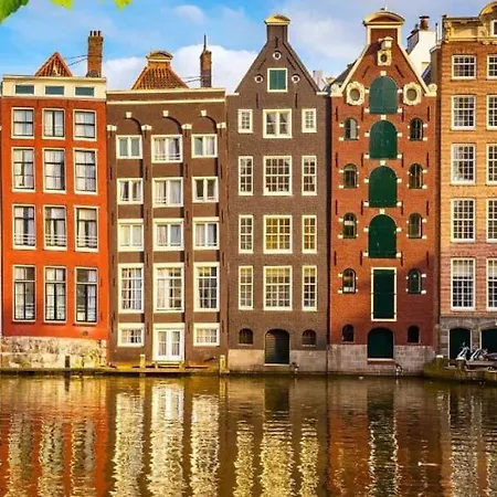 בית הארחה Little Miss Sunshine