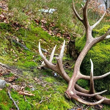 Penzion Little Miss Sunshine 3*