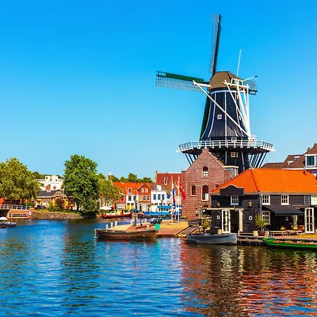 Little Miss Sunshine