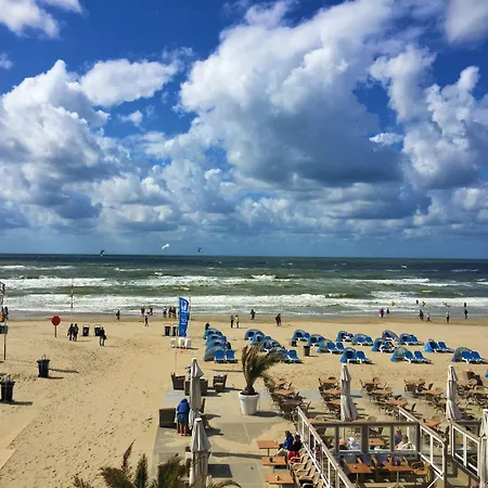 Little Miss Sunshine