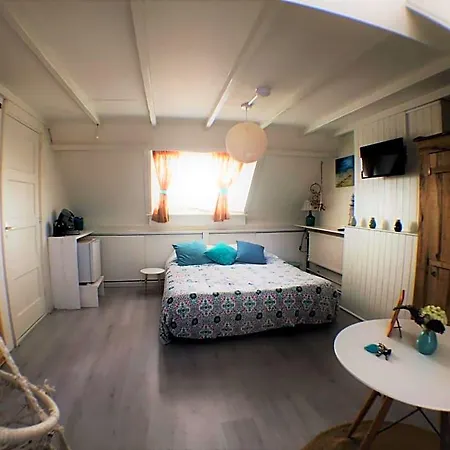Guest house Little Miss Sunshine Zandvoort