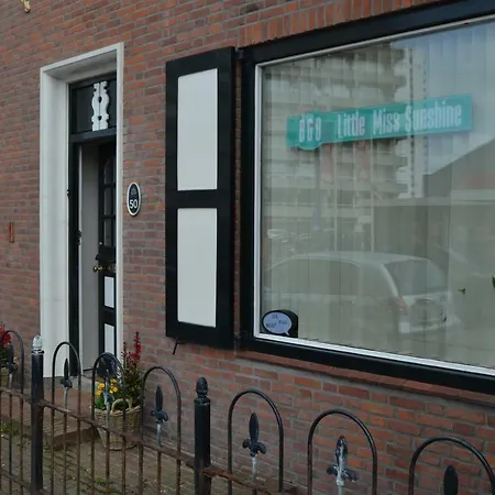 בית הארחה Little Miss Sunshine 3*