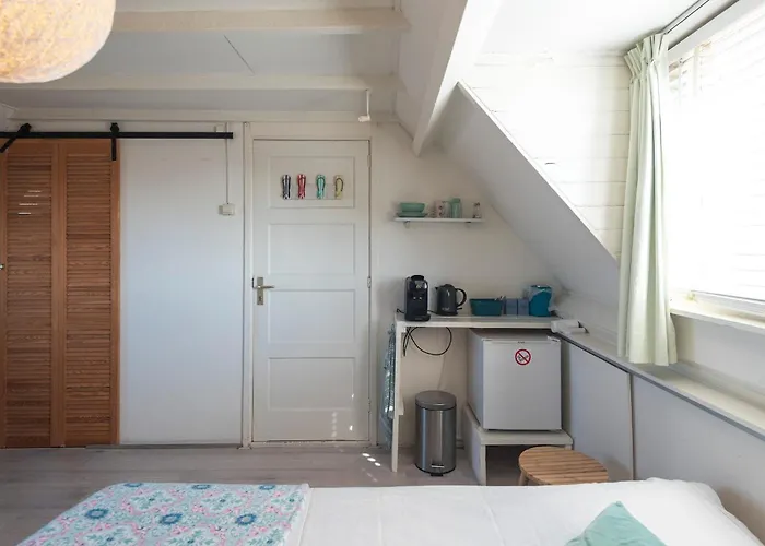 Little Miss Sunshine